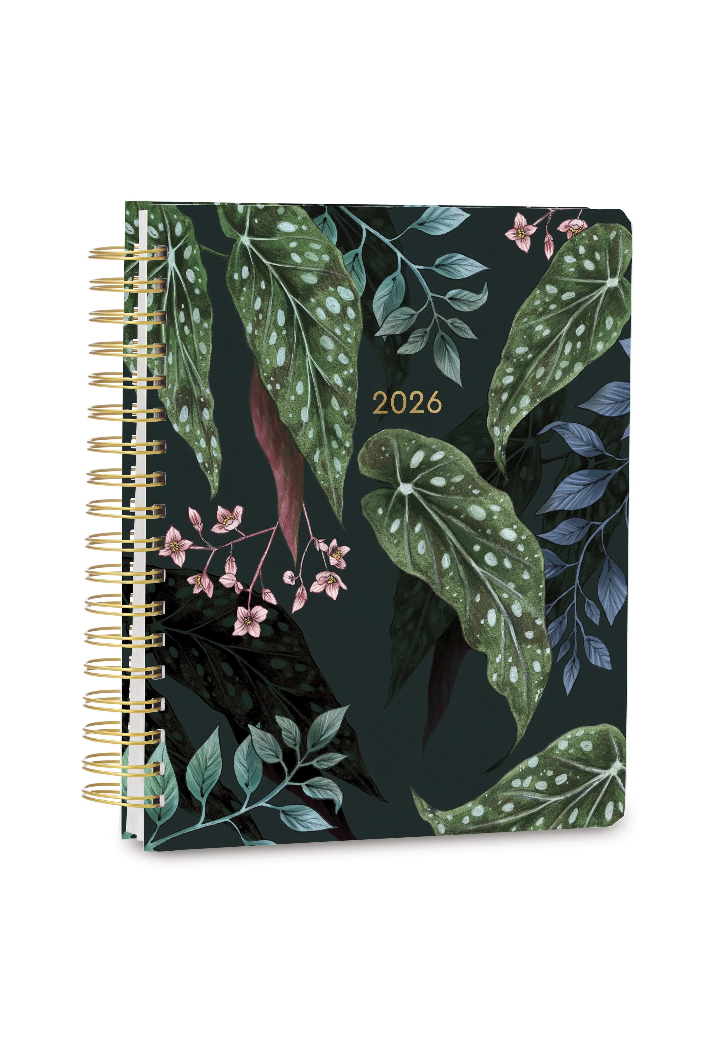 健康・医学 Year Note 2026 Low Vision Print Calendar- 2026